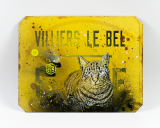 Chat Villiers le Bel